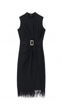 Black Sleeveless Slit Waist Fringed Dress