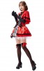 Halloween Gothic Red Riding Hood Adult Costume