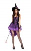 Halloween Womens Broomstick Babe Witch Costume