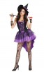 Halloween Womens Broomstick Babe Witch Costume