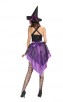 Halloween Womens Broomstick Babe Witch Costume