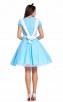 Wonderland Cutie Adult Halloween Costume