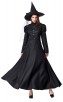 Halloween Wizard Of Oz Black Witch Costume