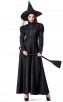 Halloween Wizard Of Oz Black Witch Costume