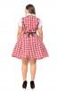 Womens Plus Size Red Plaid Dress Oktoberfest Fraulein Costume