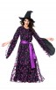 Purple Mesh Witch Adult Costume