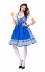 Womens Dress Blue Plaid Oktoberfest Fraulein Costume