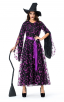 Purple Mesh Witch Adult Costume