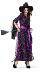 Purple Mesh Witch Adult Costume