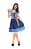 Womens Dress Traditional Dirndl Blouse Apron Outfit