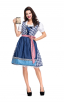 Womens Dress Traditional Dirndl Blouse Apron Outfit