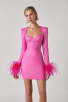 Feather Long Sleeve Mini Pink Dress